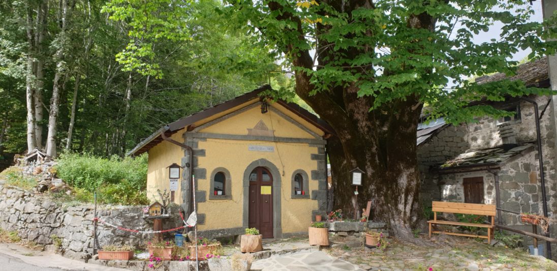 Olmo montano_Pievepelago_20230920_121853